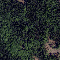 Satellite imagery of Květná skalina [Česká Kubice-Dolní Folmava], CZ