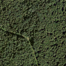 Satellite imagery of Carmichael Peak, CA