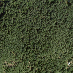 Satellite imagery of Carmichael Peak, CA