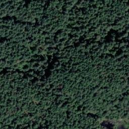 Satellite imagery of Mount Collins, CA
