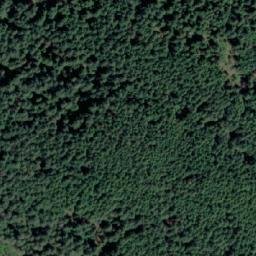 Satellite imagery of Mount Collins, CA