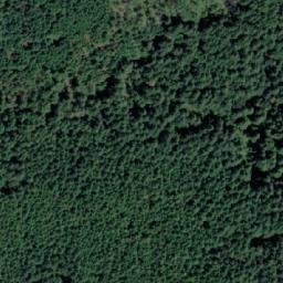 Satellite imagery of Mount Collins, CA