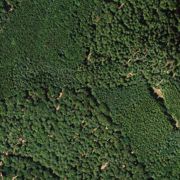 Satellite imagery of Hohe Loog, DE