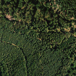 Satellite imagery of Steinberg, DE