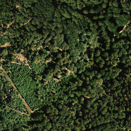 Satellite imagery of Steinberg, DE