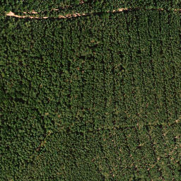 Satellite imagery of Mittelberg, DE