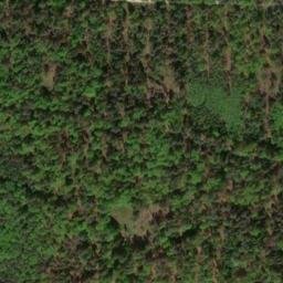 Satellite imagery of Büchleinsberg, DE