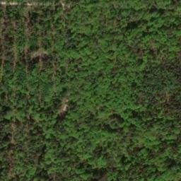 Satellite imagery of Büchleinsberg, DE