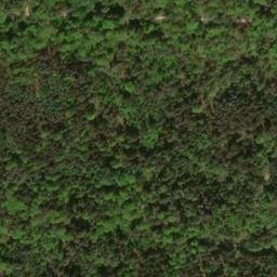 Satellite imagery of Büchleinsberg, DE