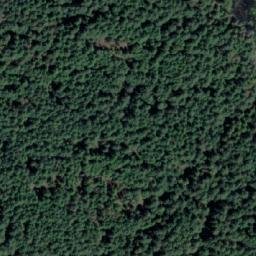 Satellite imagery of Mount Collins, CA