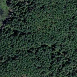 Satellite imagery of Mount Collins, CA