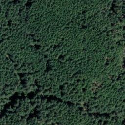 Satellite imagery of Mount Collins, CA