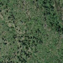 Satellite imagery of Pine Ridge, CA