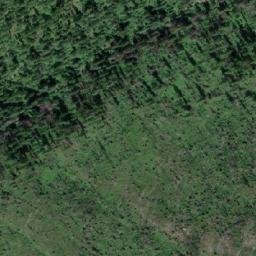 Satellite imagery of Pine Ridge, CA