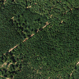 Satellite imagery of Hohe Loog, DE