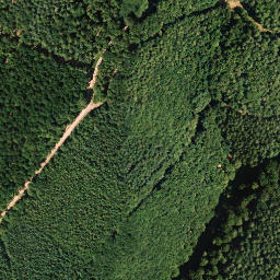 Satellite imagery of Hohe Loog, DE