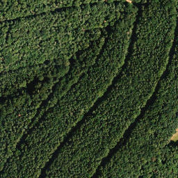 Satellite imagery of Hohe Loog, DE