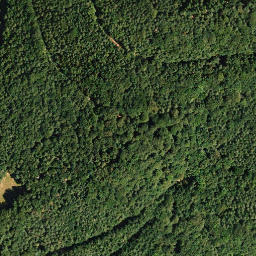 Satellite imagery of Steinberg, DE