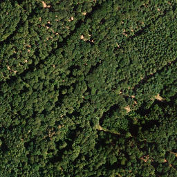 Satellite imagery of Steinberg, DE