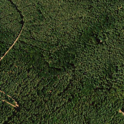 Satellite imagery of Mittelberg, DE