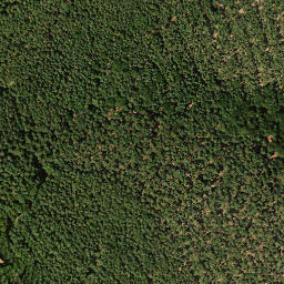 Satellite imagery of Mittelberg, DE