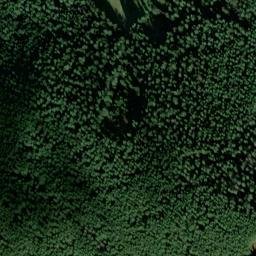 Satellite imagery of Tannenberg, DE