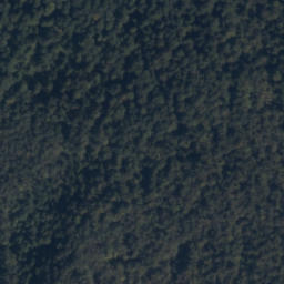 Satellite imagery of Kamień, PL
