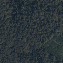 Satellite imagery of Kamień, PL