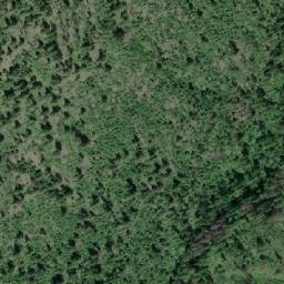 Satellite imagery of Pine Ridge, CA
