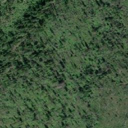 Satellite imagery of Pine Ridge, CA