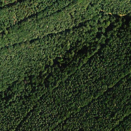 Satellite imagery of Steinberg, DE
