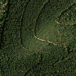 Satellite imagery of Mittelberg, DE