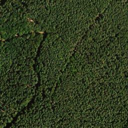 Satellite imagery of Mittelberg, DE