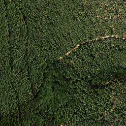 Satellite imagery of Mittelberg, DE