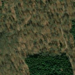 Satellite imagery of Auerhahnenkopf, DE