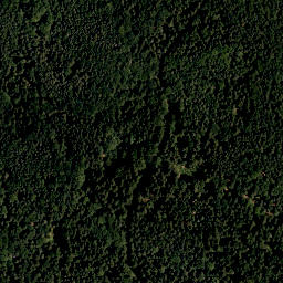 Satellite imagery of Brennersberg, DE