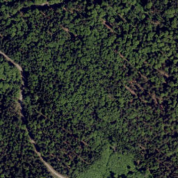 Satellite imagery of survey_point, CZ