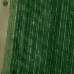 Satellite imagery of Simonův vrch [Ostrov u Macochy], CZ