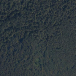 Satellite imagery of Kamień, PL