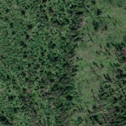 Satellite imagery of Pine Ridge, CA