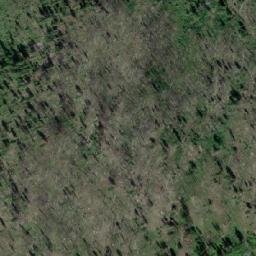 Satellite imagery of Pine Ridge, CA