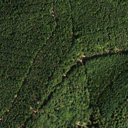 Satellite imagery of Hoher Stoppelkopf, DE