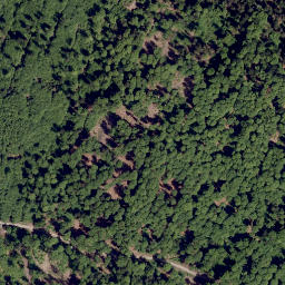 Satellite imagery of survey_point, CZ
