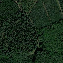Satellite imagery of Grafenkrebser, DE