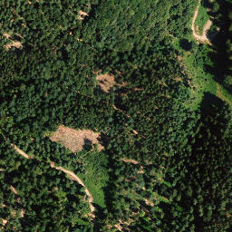 Satellite imagery of Kleiner Pflasterberg, DE