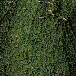 Satellite imagery of Eichelberg, DE