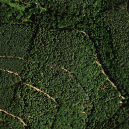 Satellite imagery of Hinterer Langenberg, DE
