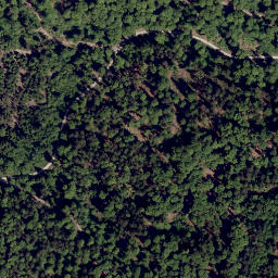 Satellite imagery of Rieselhang, DE