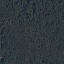 Satellite imagery of Kopczyk kamienny, PL