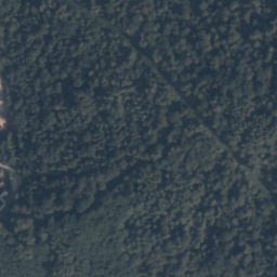 Satelita